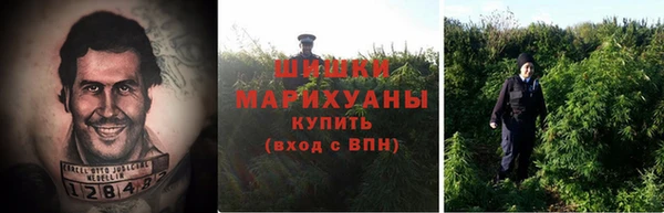 мяу мяу мука Абаза