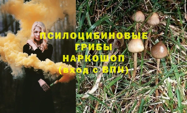 ПСИЛОЦИБИНОВЫЕ ГРИБЫ Бутурлиновка