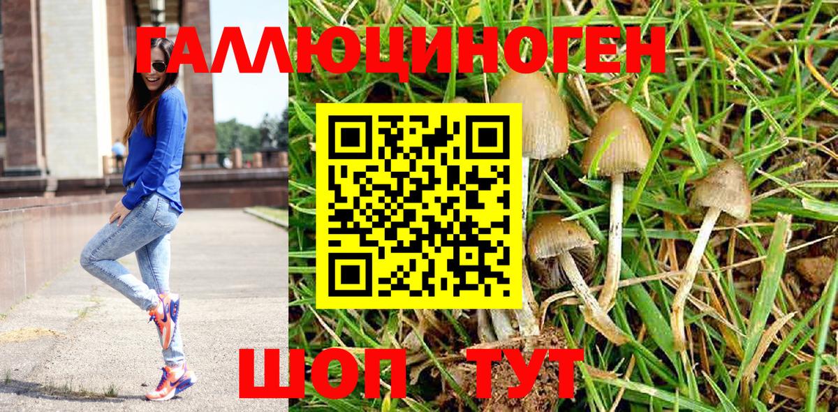 Псилоцибиновые грибы мицелий Карталы